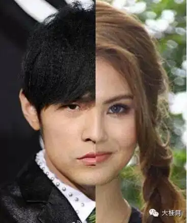 其它 正文 范冰冰李晨 近日,有网友ps了一组明星夫妻的左右脸拼合照