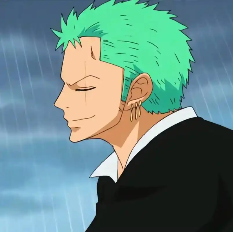 未来第一大剑豪#罗罗诺亚索隆#海贼王#优质动漫男头  - 抖音