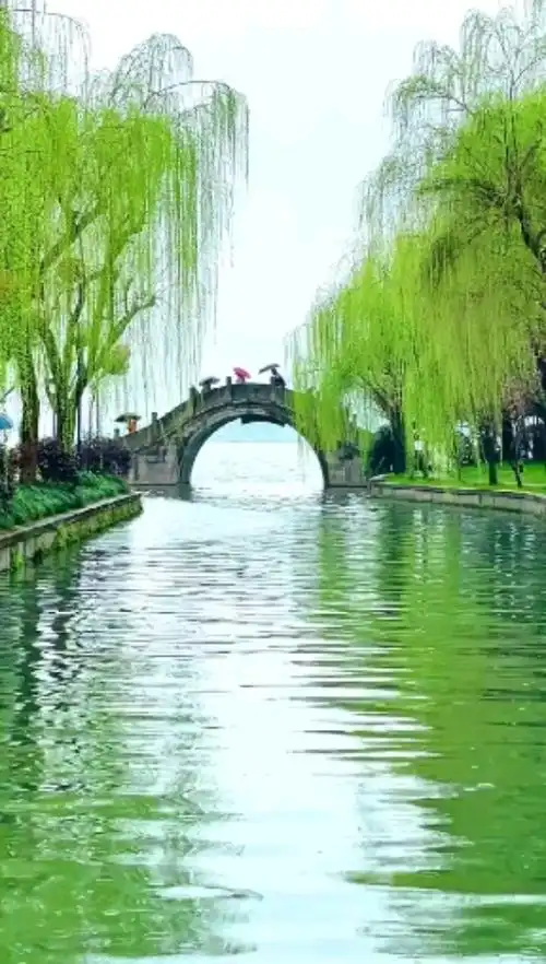 西湖美景三月天哪春雨如酒柳如烟哪有缘千里来相会无缘对面手难牵