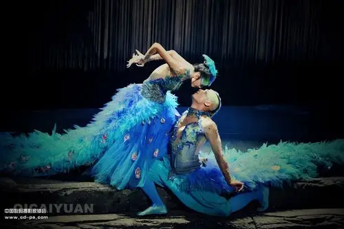 雀之灵【舞蹈家杨丽萍收官之作《孔雀》巡演掠影】