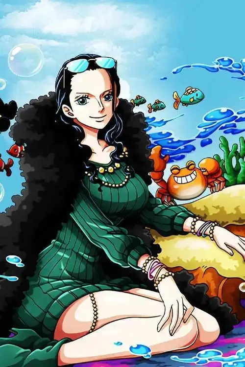 海贼王妮可罗宾cg插图(海贼王壁纸妮可)(4)