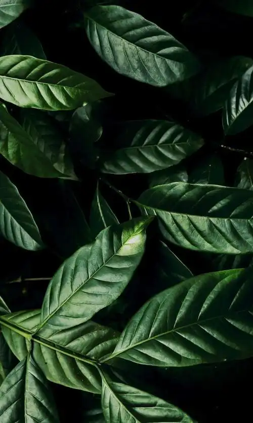 640_1067竖版 竖屏