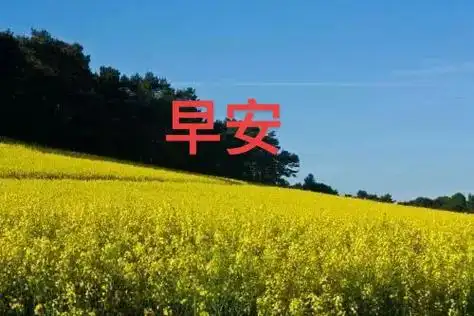 友友们早上好#情歌分享给朋友们 #美丽的风景无处不在 #世界 - 抖音