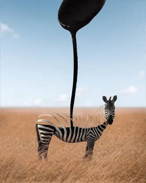 设计创意灵感605分享8份国外创意大神的设计概念创意灵感