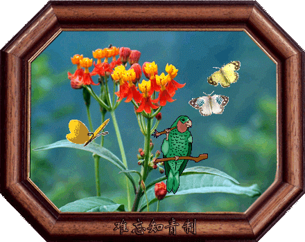 绝美的相框动态风景图