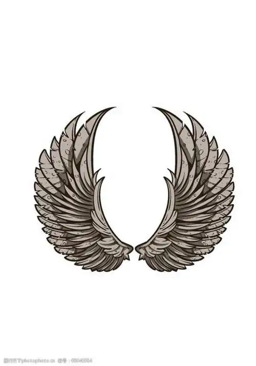 翅膀图案图片