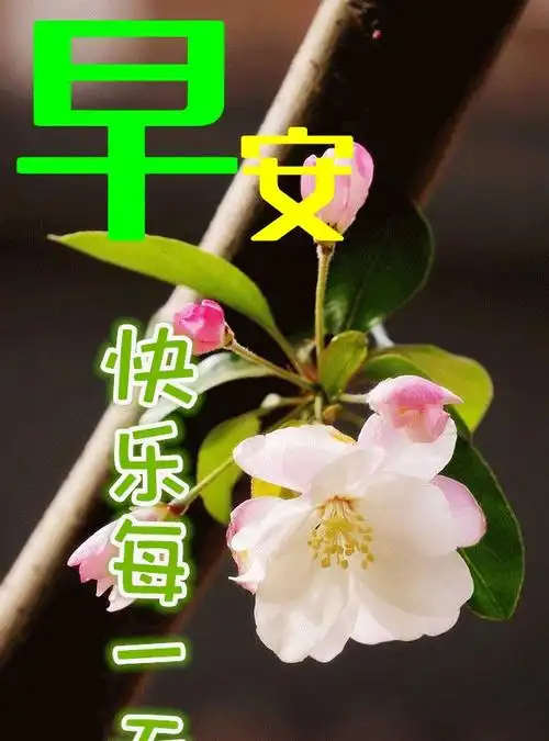 最新早安问候语动态图片表情暖心的早上好祝福语图片带字