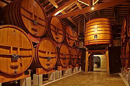 酒窖,葡萄园,法国