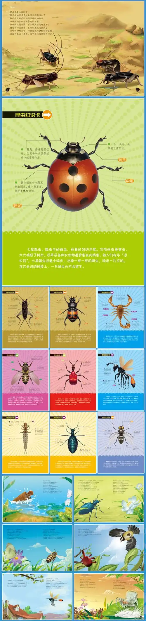 正版包邮 法布尔昆虫记 全套10册 青少版盒装 《昆虫记》少儿版非注音