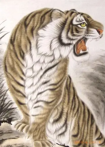 云水谣画坊 专业画师精工手绘四尺工笔老虎国画 上山虎b92图片_21