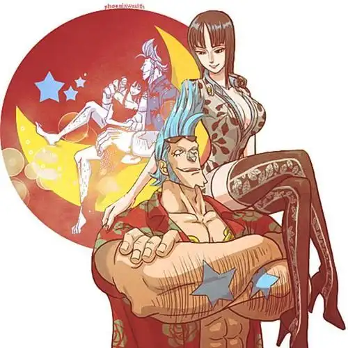 尾田官方标配弗兰奇罗宾cp