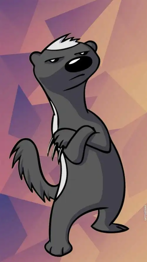 个小凶猛,不服就干的草原平头哥蜜獾手机壁纸图片集1080x1920(4)