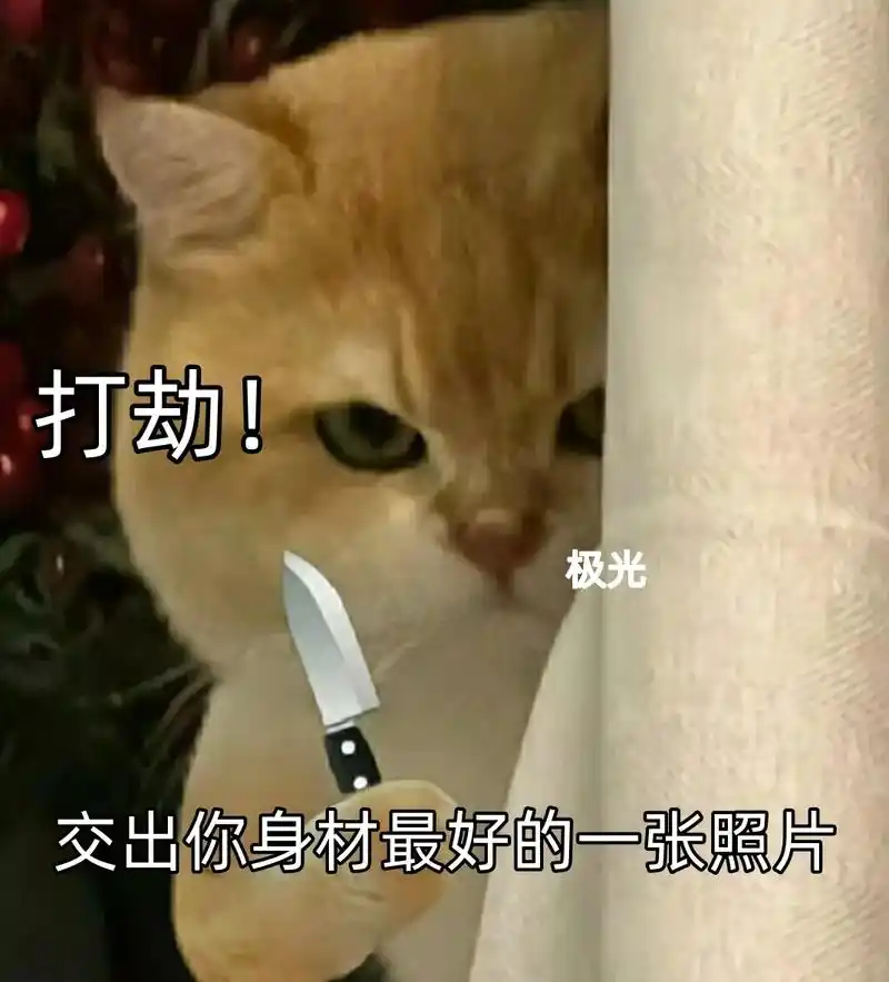 表情包 #发给对象表情包 #情侣日常 #撩妹表情包 #猫咪 - 抖音