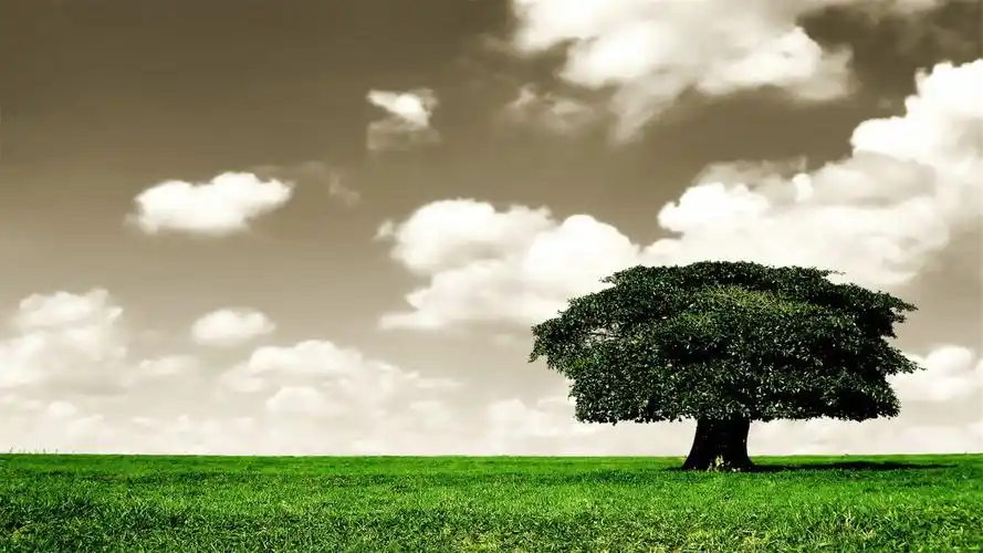 二,求电脑桌面壁纸,保护眼睛的,最好是大自然之类的,有其他的