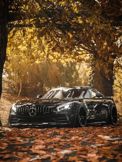 地平线4摄影作品