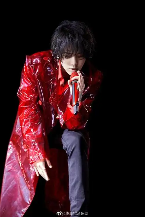 华晨宇2019演唱会服装(华晨宇2019演唱会服装造型)-今日头条-全球纺织