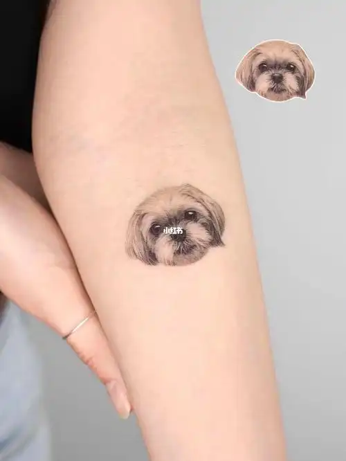 厦门纹身丨单针小狗狗纹身
