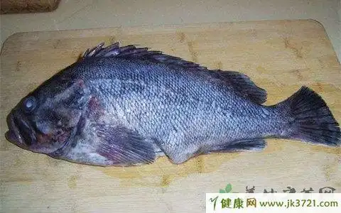 海黑鱼的吃法哪些人不能吃海黑鱼