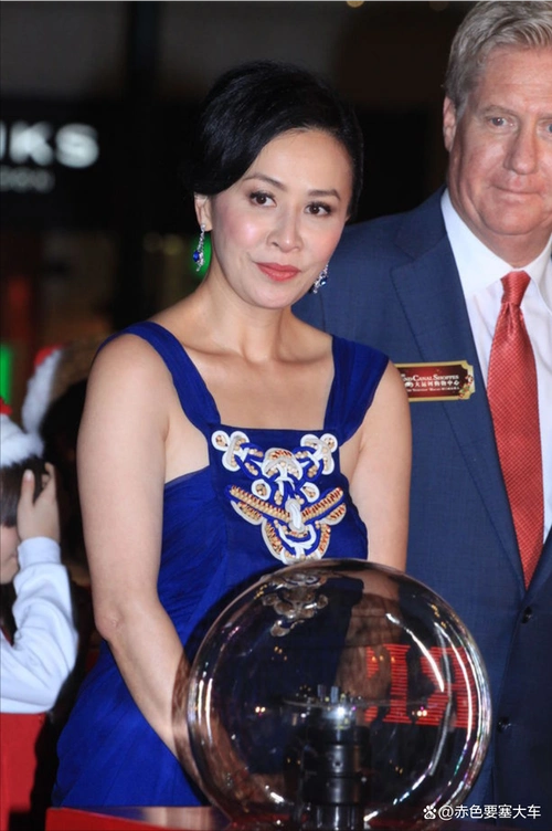 刘嘉玲瞒不住了特殊嗜好被曝光难怪梁朝伟坚决做丁克