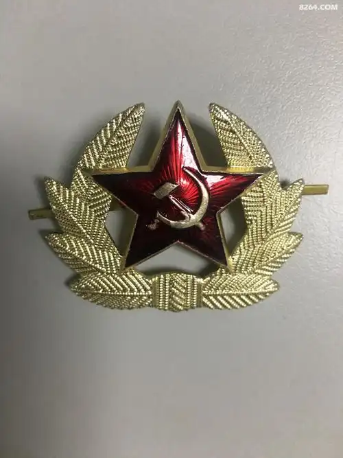 五星徽章.jpg