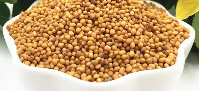 黄芥子 荆芥子 黄芥籽500克 可以免费代磨芥末粉 食用凉菜