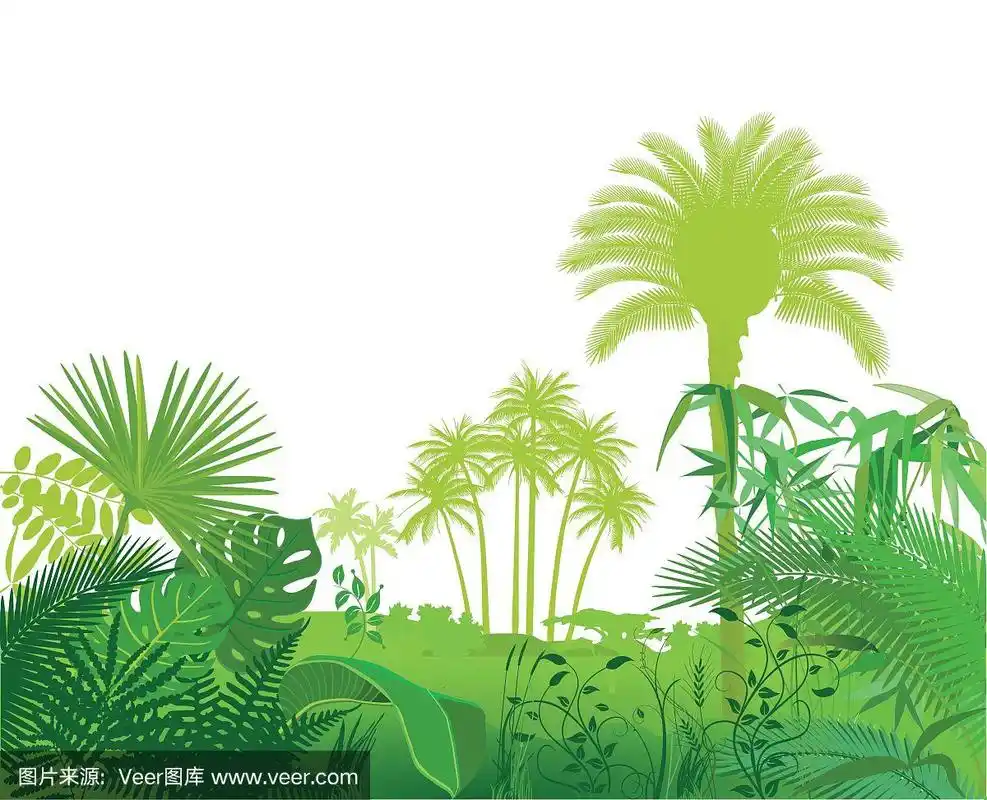 热带外来植物图解