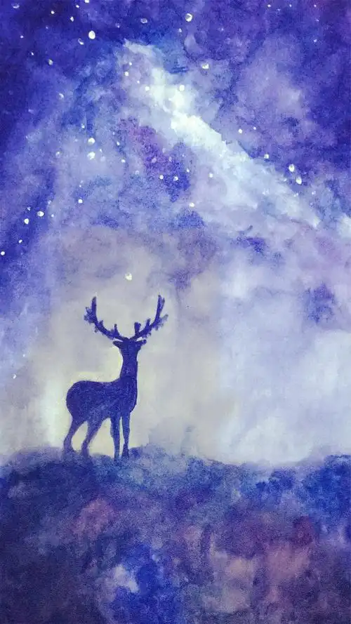 星空与鹿