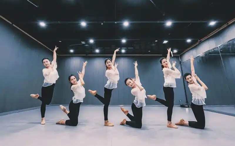 中国舞《醉红颜》古典舞流动舞姿组合-【单色舞蹈】(郑州)中国舞精进