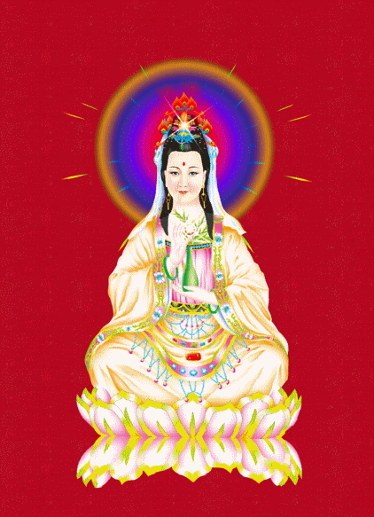 422_583竖版 竖屏gif 动态图 动图