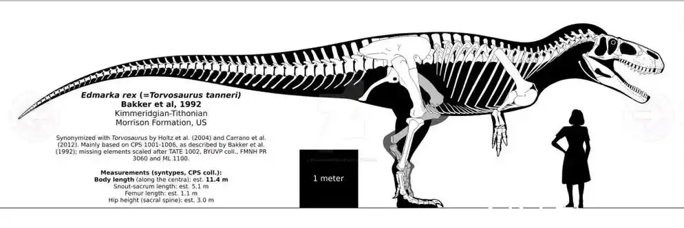 科普:欧美之雄——蛮龙 - 哔哩哔哩