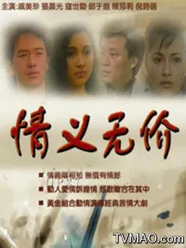 情义无价(电视剧)