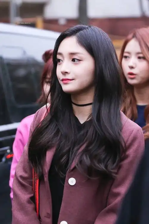 就读于首尔表演艺术高中,中国内地流行乐女歌手,韩国女子组合pristin