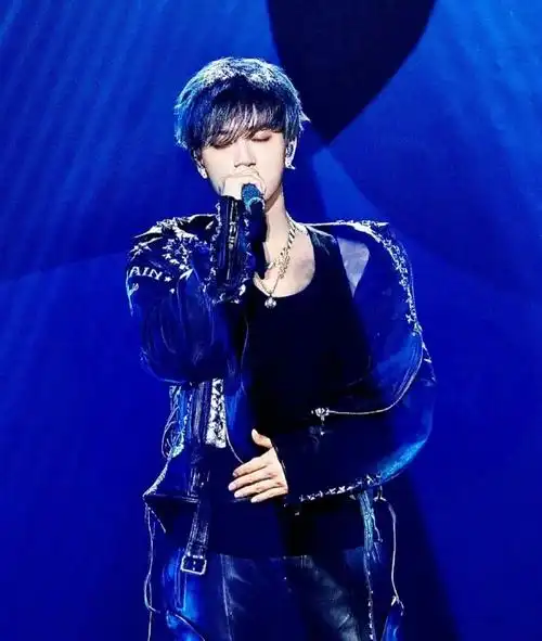 之外,在韩国出道的中国男艺人还有很多:鹿晗,黄子韬,韩庚,王嘉尔