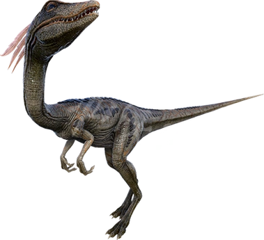 美颌龙驯服方法介绍