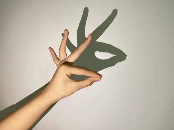 影子 其他 手 影子 墙 孔雀 暗