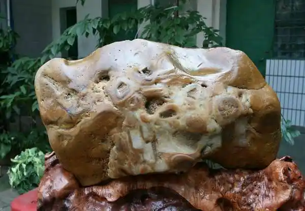 天价奇石怎么了?