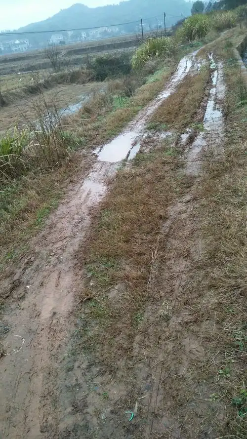 80年代走过的乡间泥巴路