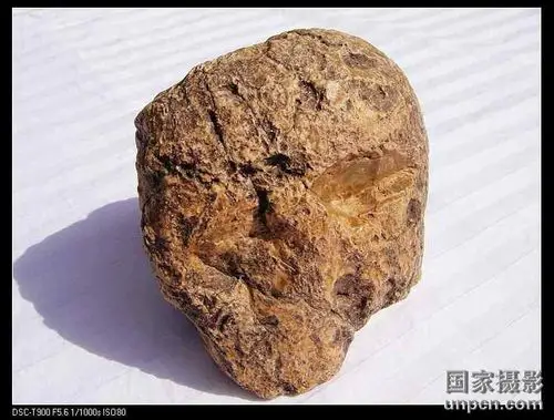 世界公认的月球陨石大家看过来!