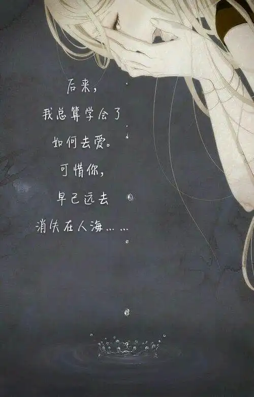 句子,文字,歌词,文艺刘若英 《后来》