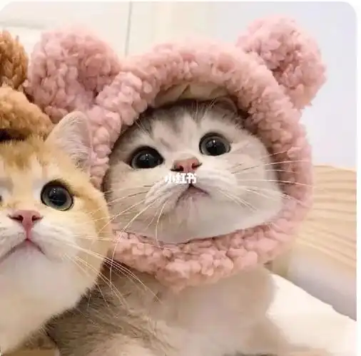 喵星人闺蜜头像