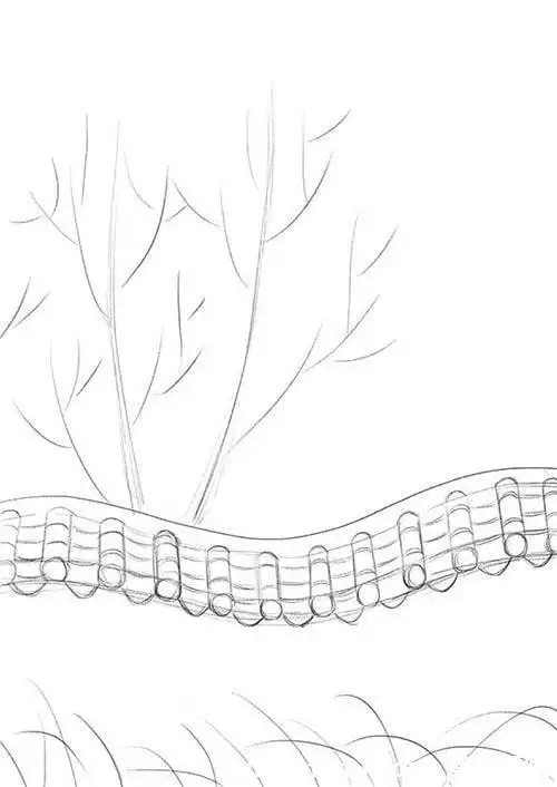 s形构图简笔画儿童画