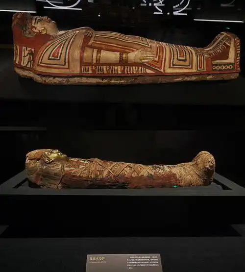深圳展览  #南山博物馆  #深圳木乃伊展览  #木乃伊4年前还在土澳
