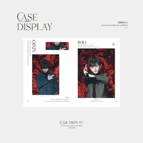 饭圈美工设计pb内页排版祺鑫