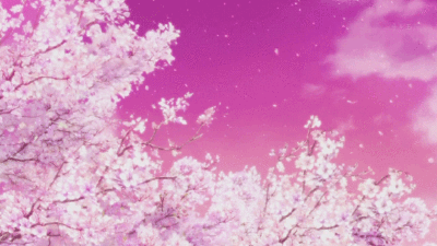 最喜欢的樱花背景,前面五张图是动图哦(-ω-`)