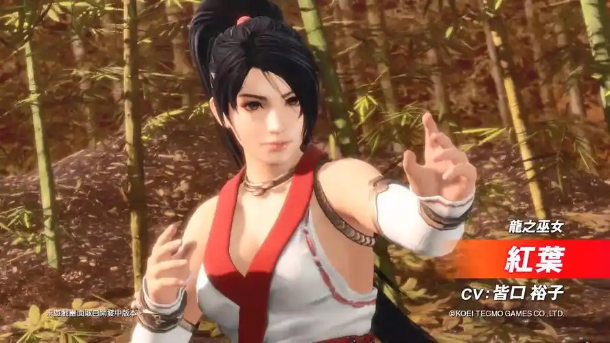 性感巫女红叶登场死或生6下载量突破150万次