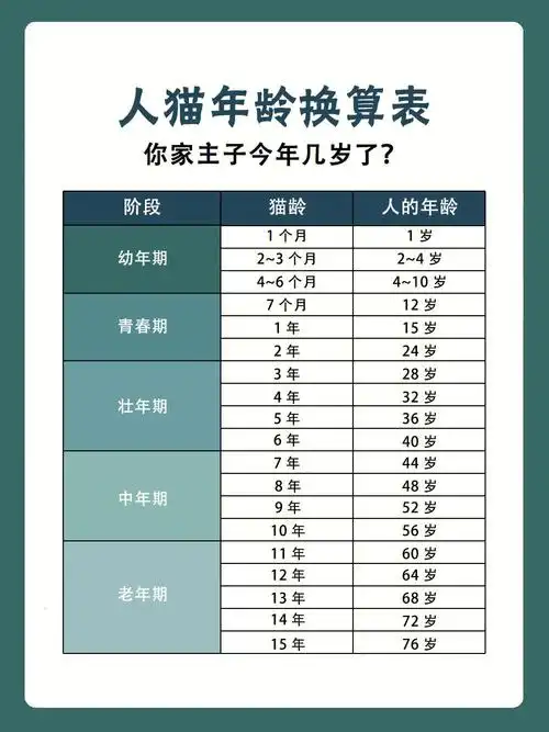 猫咪年龄自查表97来看看你家毛孩子几岁了71