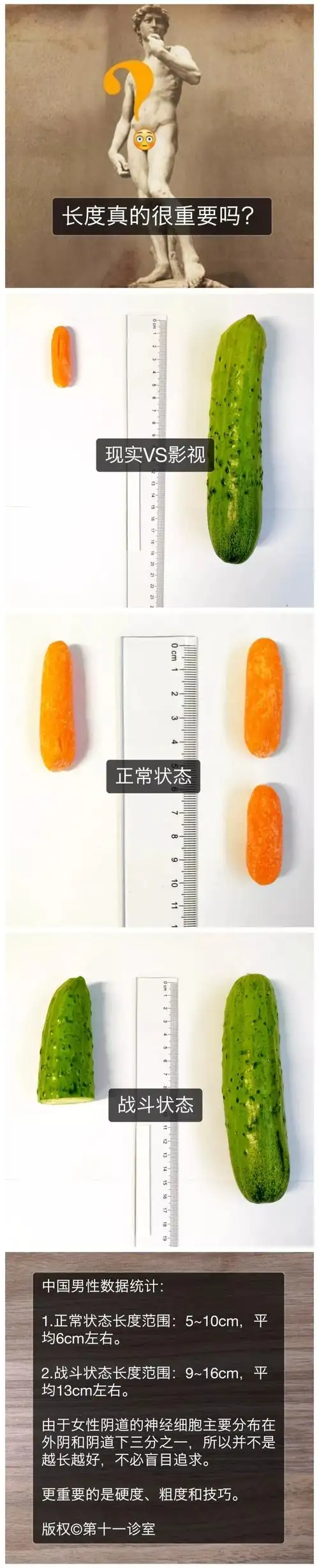 男性的丁丁多大才正常?|硬核科普