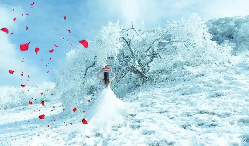 其它 飘雪的季节～ 写美篇把爱深藏 饮一壶浊酒忘记昨日的忧伤 淡淡的