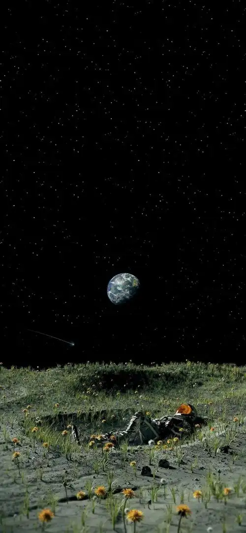 有没有那种4k画质的超高清壁纸