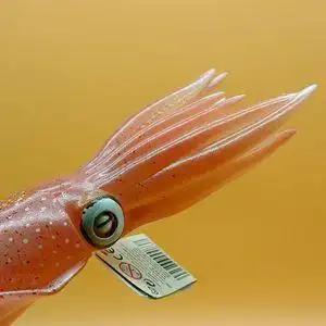 美国safari品牌海洋生物礁鱿鱼模型(鱿鱼,乌贼)玩具欧美教具
